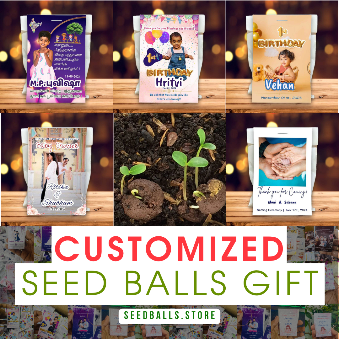 Personalized Paper Pouch Seed Balls Return Gift for Wedding | Pack of 4 Seed Balls