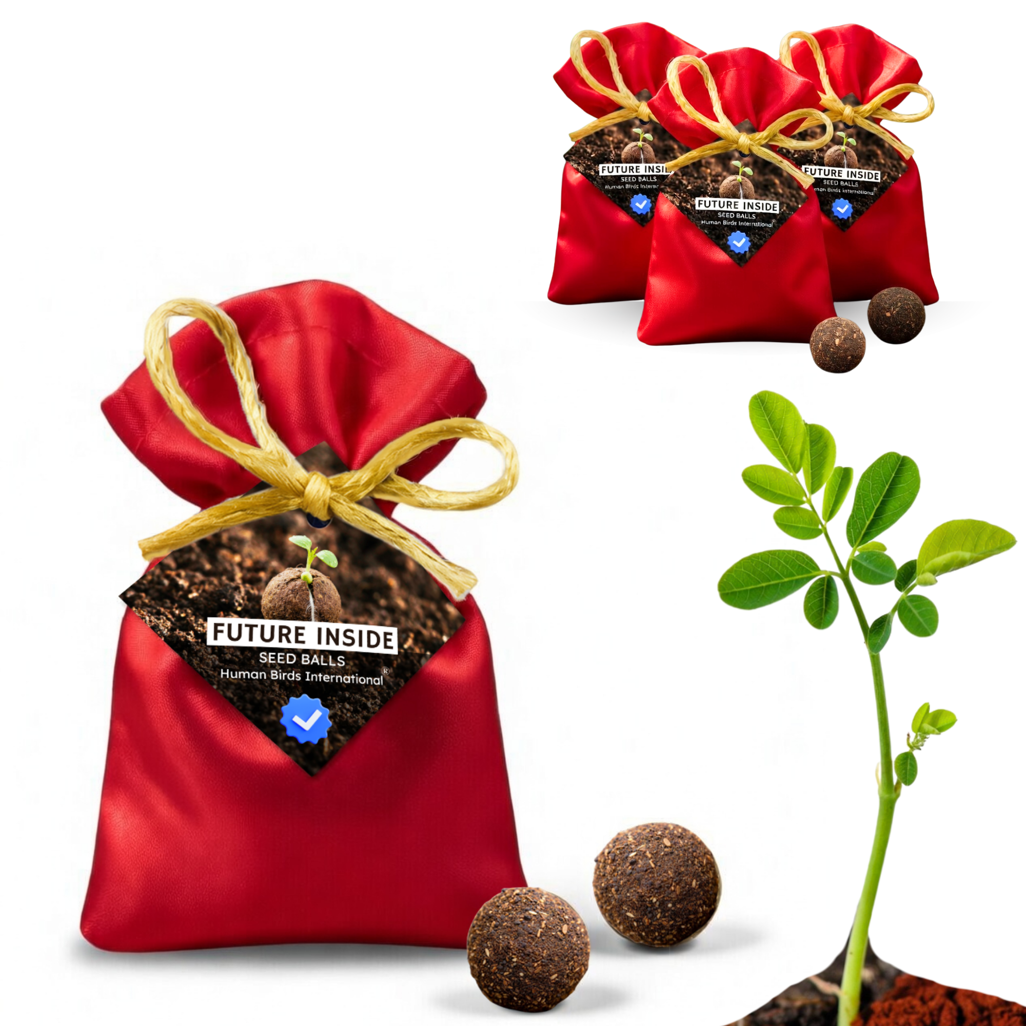 Human Birds International® Seed Balls Return Gift | Premium Silky Cloth Bag with 2 Moringa seed balls | Eco-Friendly Wedding & Birthday Favors (Without Customization) (Ready Made)
