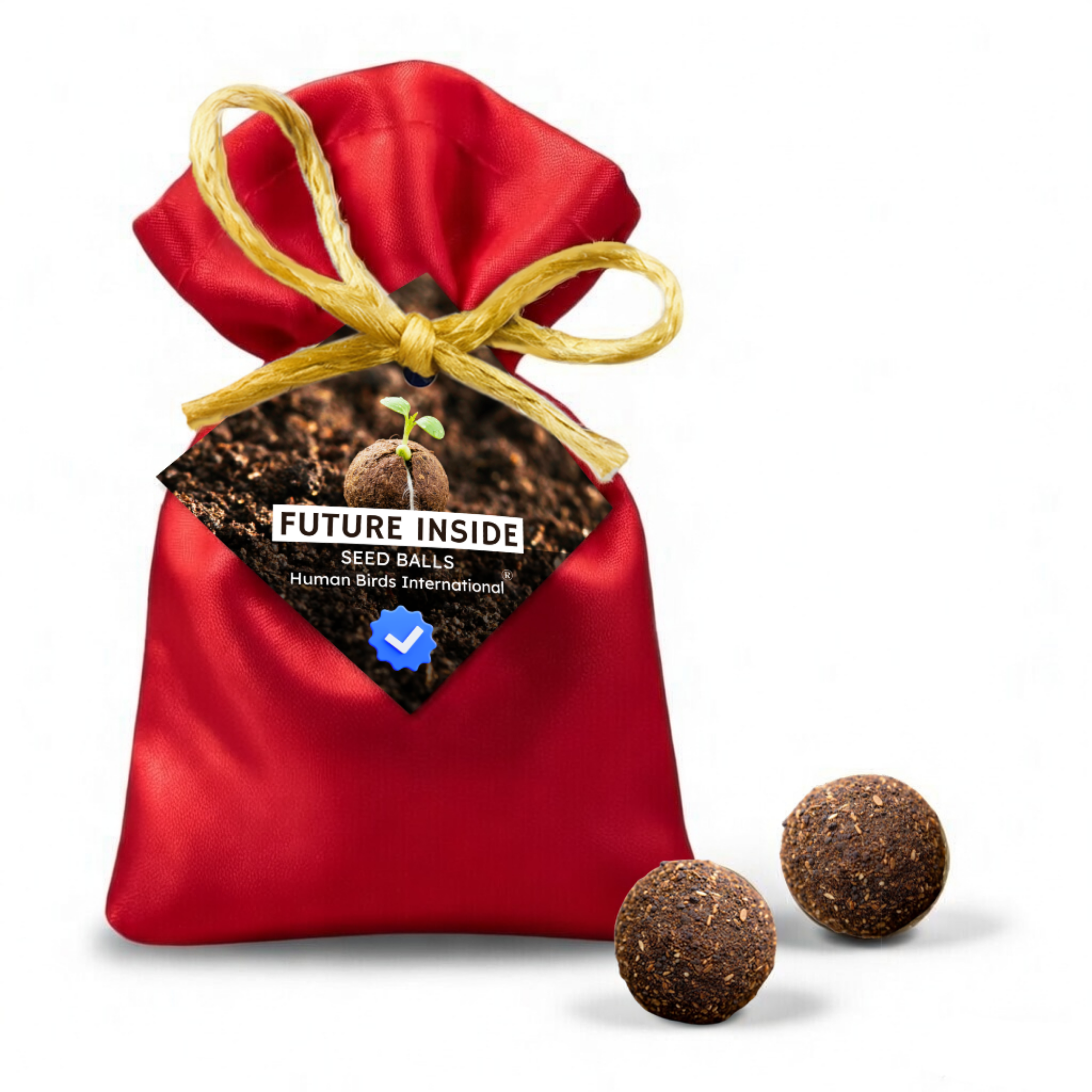 Human Birds International® Seed Balls Return Gift | Premium Silky Cloth Bag with 2 Moringa seed balls | Eco-Friendly Wedding & Birthday Favors (Without Customization) (Ready Made)