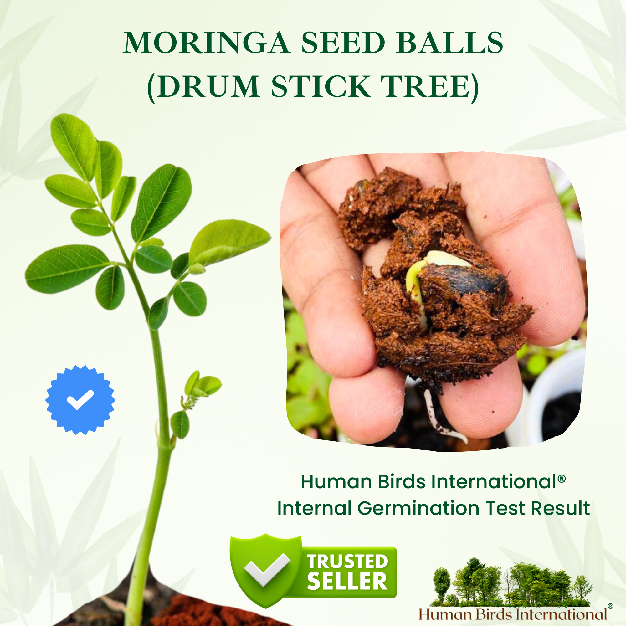 Human Birds International® Seed Balls Return Gift | Premium Silky Cloth Bag with 2 Moringa seed balls | Eco-Friendly Wedding & Birthday Favors (Without Customization) (Ready Made)