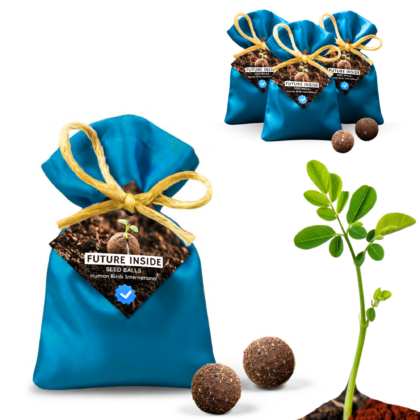 Human Birds International® Seed Balls Return Gift | Premium Silky Cloth Bag with 2 Moringa seed balls | Eco-Friendly Wedding & Birthday Favors (Without Customization) (Ready Made)