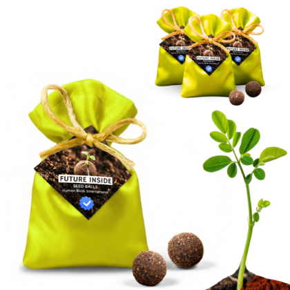 Human Birds International® Seed Balls Return Gift | Premium Silky Cloth Bag with 2 Moringa seed balls | Eco-Friendly Wedding & Birthday Favors (Without Customization) (Ready Made)