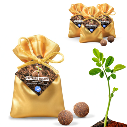 Human Birds International® Seed Balls Return Gift | Premium Silky Cloth Bag with 2 Moringa seed balls | Eco-Friendly Wedding & Birthday Favors (Without Customization) (Ready Made)