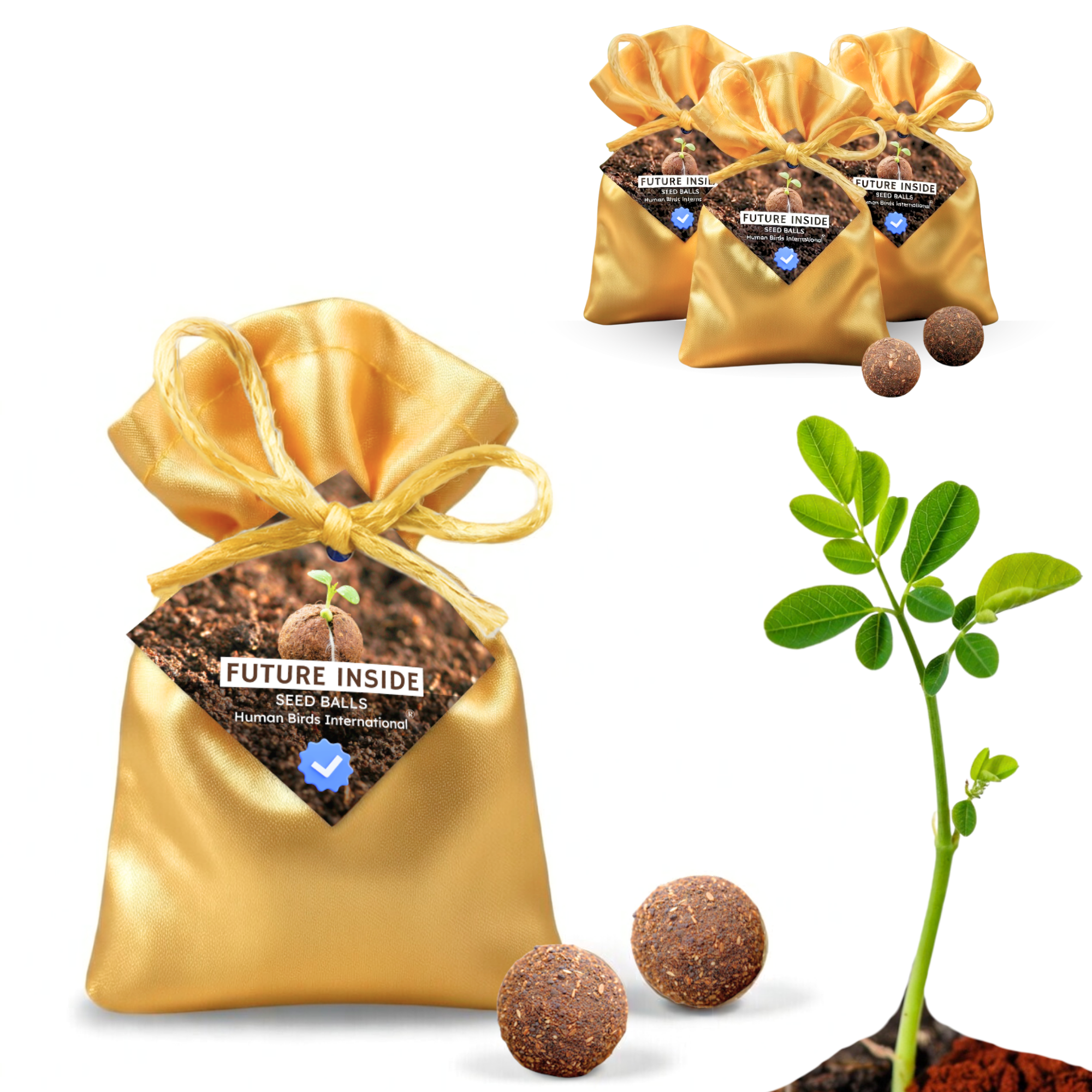 Human Birds International® Seed Balls Return Gift | Premium Silky Cloth Bag with 2 Moringa seed balls | Eco-Friendly Wedding & Birthday Favors (Without Customization) (Ready Made)