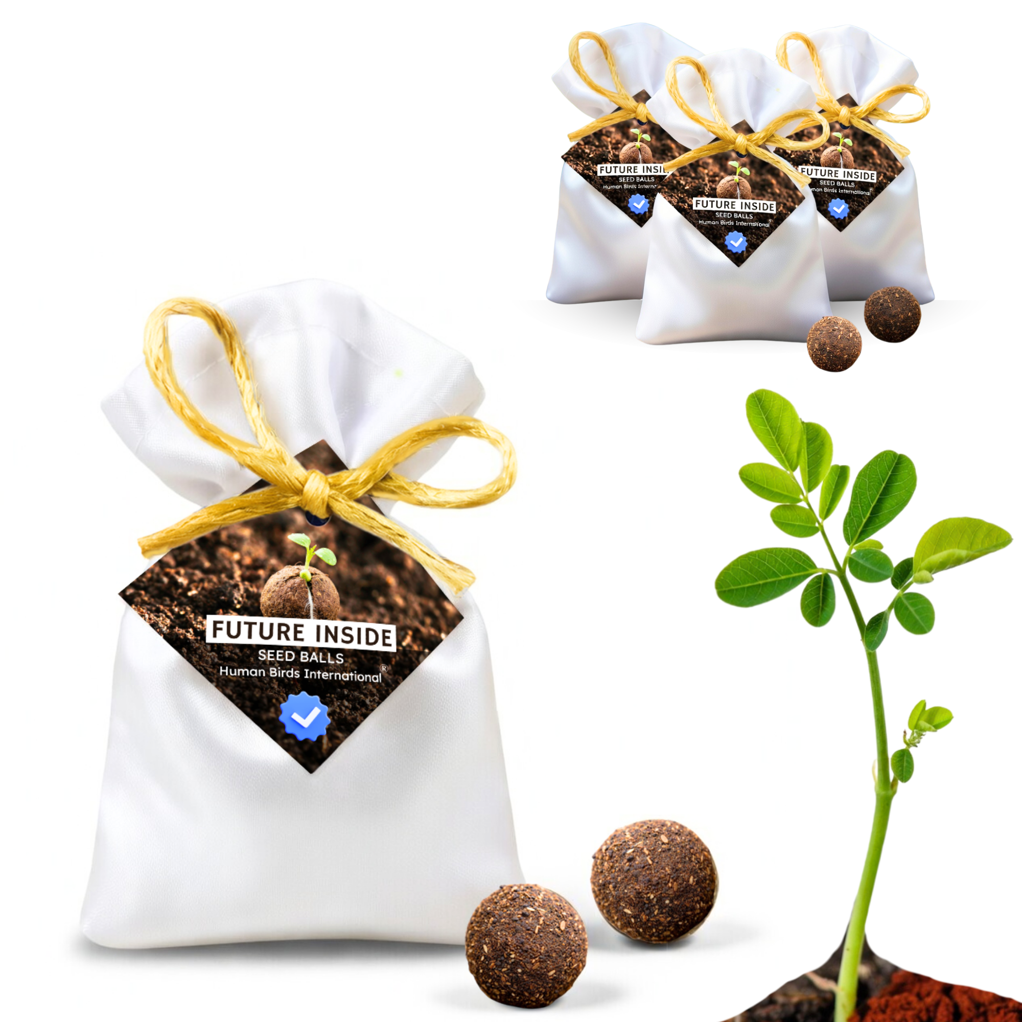Human Birds International® Seed Balls Return Gift | Premium Silky Cloth Bag with 2 Moringa seed balls | Eco-Friendly Wedding & Birthday Favors (Without Customization) (Ready Made)